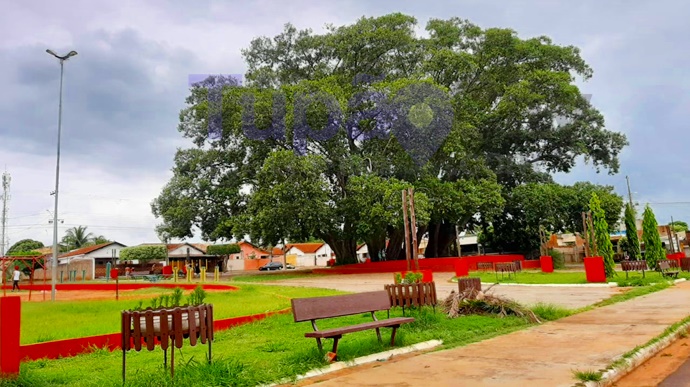 Feia da Praça da Figueira terá show ao vivo nesta quarta-feira
