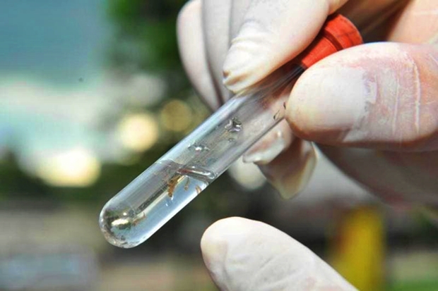 De acordo com o diretor de Endemias, o período chuvoso atrapalha a nebulização nos focos da dengue