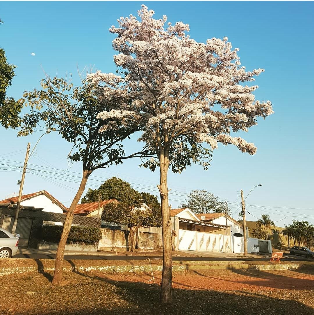 Foto: Tupã Cidade