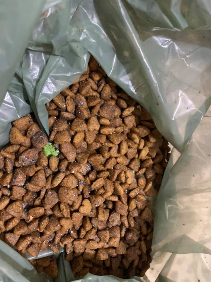 Moradora encontra vestígios de chumbinho em ração colocada para animais de rua na Vila Inglesa/Foto: Redes sociais