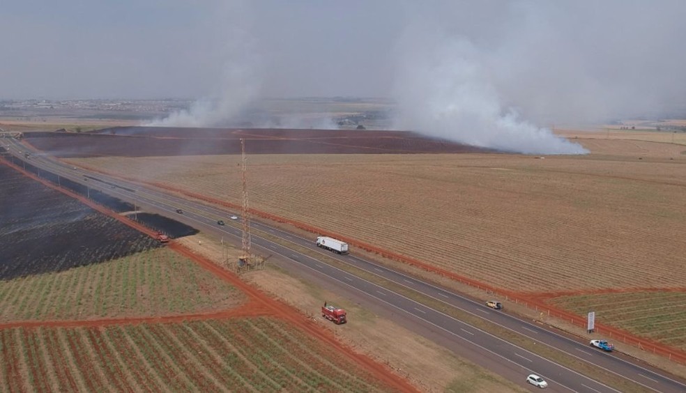 Fogo começou no fim da manhã na via entre Pederneiras e Jaú — Foto: Cesar Culiche/ TV TEM