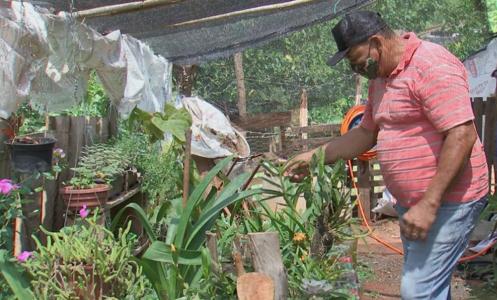 Através do voto, eleitores indígenas de Arco-Íris buscam melhorias na agricultura — Foto: TV TEM/Reprodução