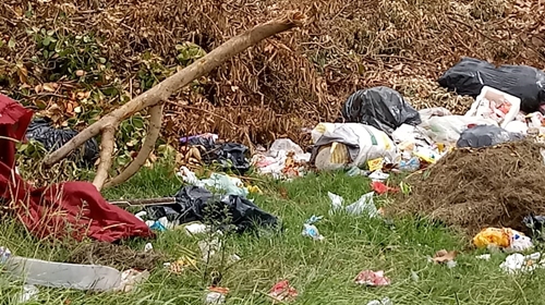 Além das visitas em domiciliares, também foram feitas fiscalizações em terrenos baldios.