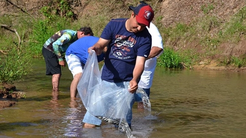 Grupo de pescadores vão soltar 15 mil peixes alevinos no Rio Feio. Foto Ilustrativa.
