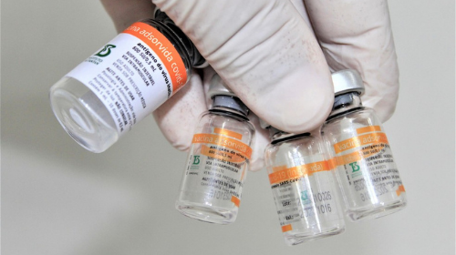 Estudo mostra que CoronaVac reduz em 41% casos sintomáticos de Covid-19 em idosos com mais de 70 anos