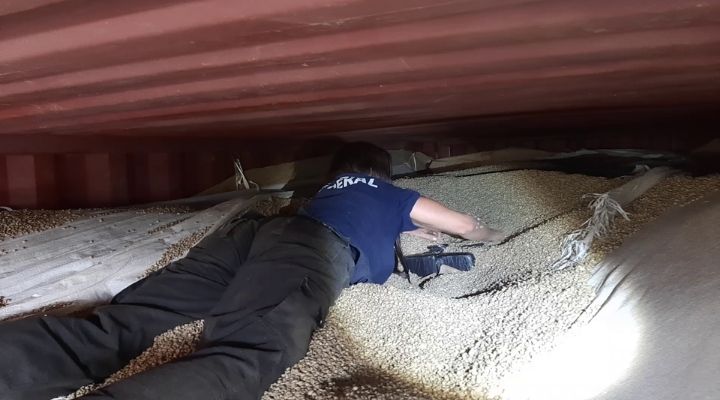 Receita Federal encontra 558 kg de cocaína em meio a carregamento de café no Porto de Santos