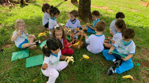 Escola Esperança inova e realiza projetos literários para explorar a criatividade das crianças