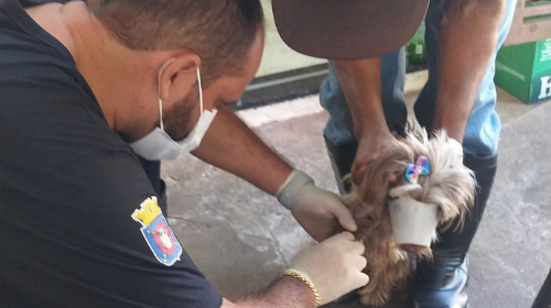 Prefeitura inicia o Censitário Canino 2022 na Zona Leste de Tupã