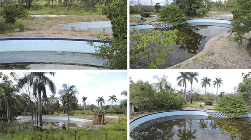 Reforma das piscinas do Country Clube irá custar cerca de R$ 850 mil - Foto: Diário de Tupã