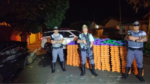 Centenas de tabletes apreendidos em Chavantes — Foto: Polícia Rodoviária/Divulgação