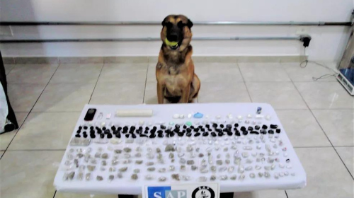 Cão farejador ainda encontrou várias porções de drogas e celulares na estrada que dá acesso ao CPP 2 de Bauru — Foto: SAP/Divulgação