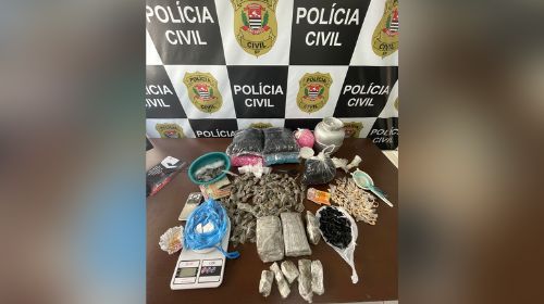 Foto: divulgação Polícia Civil
