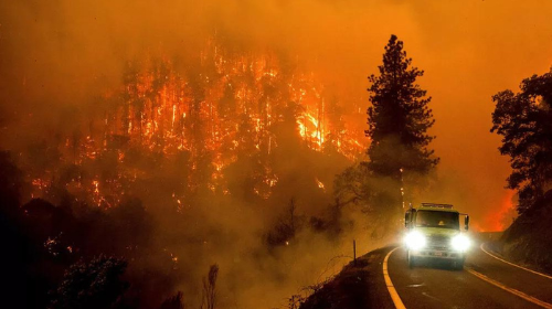 Chamadas tomam conta da Floresta Nacoinal Klamath, no norte da Califórnia, nos EUA, em 31 de julho de 2022. — Foto: Noah Berger/ Associated Press