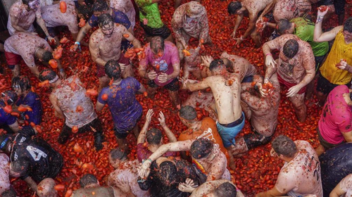 Participantes jogam tomates uns nos outros durante o festival 