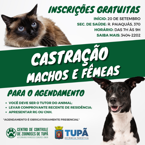 CCZ abre agendamentos para castração de cães e gatos nesta terça-feira (20)