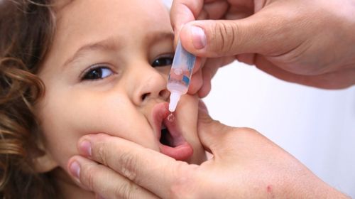 Saúde visita domicílios para imunizar crianças contra a poliomielite em Tupã (Foto/Reprodução)