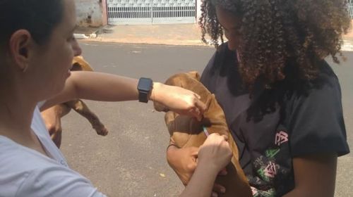 Queiroz realiza vacinação antirrábica itinerante para cães e gatos (Foto/Cedida)