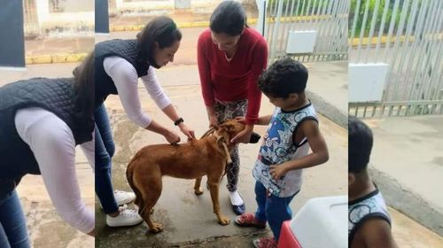 Queiroz segue com campanha de vacinação antirrábica itinerante (Foto/ Prefeitura de Queiroz)