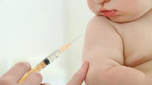 Tupã inicia vacinação contra a Covid em bebês sem comorbidades; veja como agendar (Foto/Reprodução)