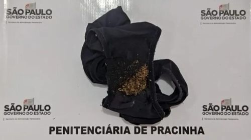 Mulher tenta entrar na Penitenciária de Pracinha (SP) com porção de maconha na calcinha — Foto: Secretaria da Administração Penitenciária